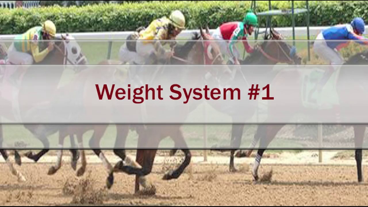 horse betting system without handicapping